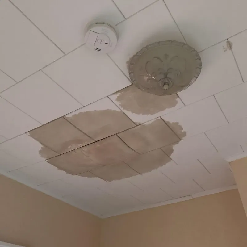 Ceiling Water Damage Repair in Throckmorton, TX
