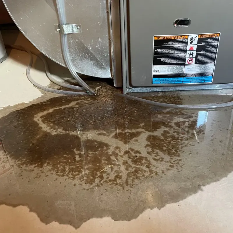 Pipe Burst and Leak Restoration in Throckmorton, TX