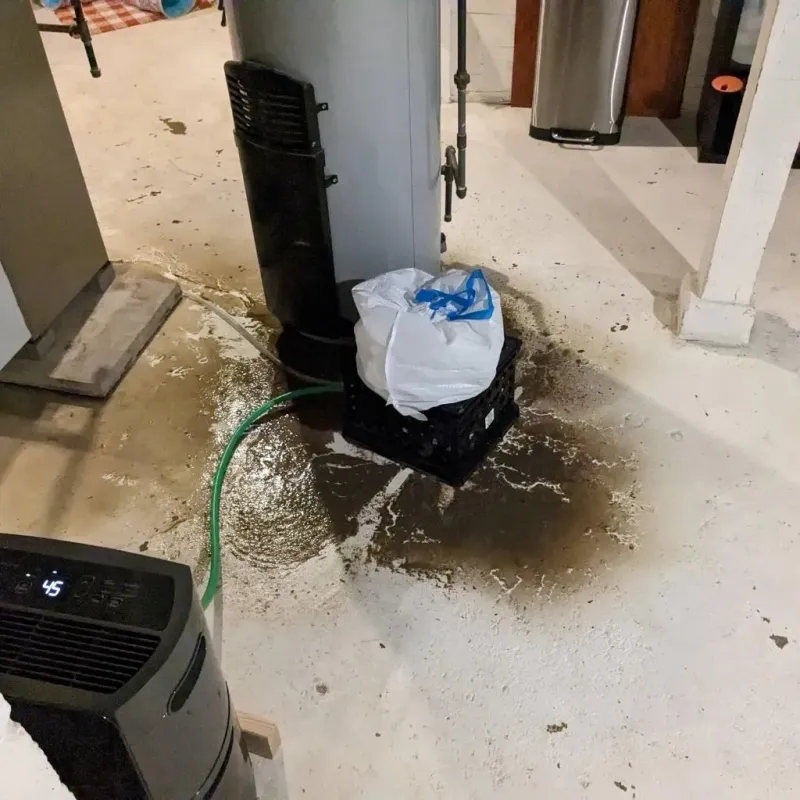 Sewage Backup Cleanup Service in Throckmorton, TX